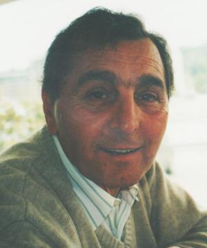 Alcide Baldelli