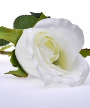 Antonio Bisignano Necrologio E Condoglianze Su Annunci Funebri