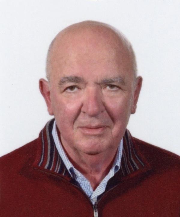 Giovanni Bergamaschi