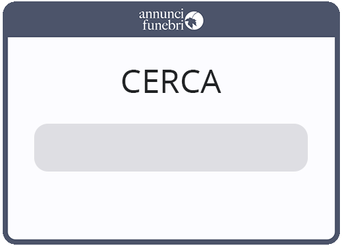come_funziona_cerca